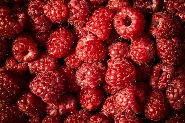 Comment associer des vestes en jean avec des robes d'été pour un look casual chic ?